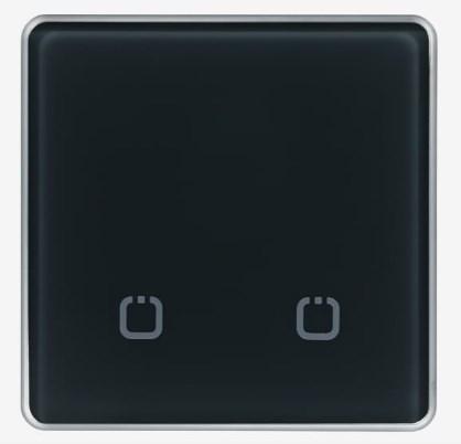 Беспроводной радиовыключатель (закруглённые углы, графит) HiTE PRO SN-R2 (графит)