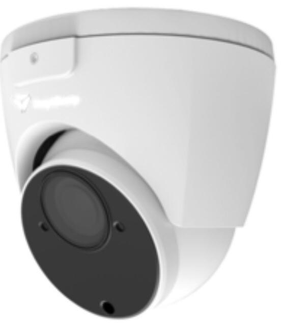 IP-видеокамера RL-IP65P-V-S.eco